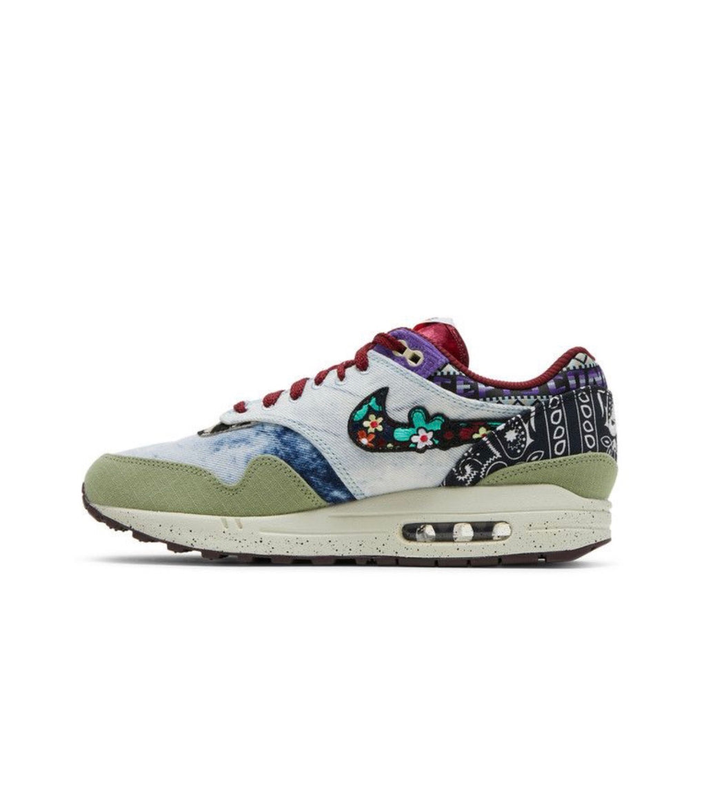 Nike Air Max 1 SP Concepts Mellow
