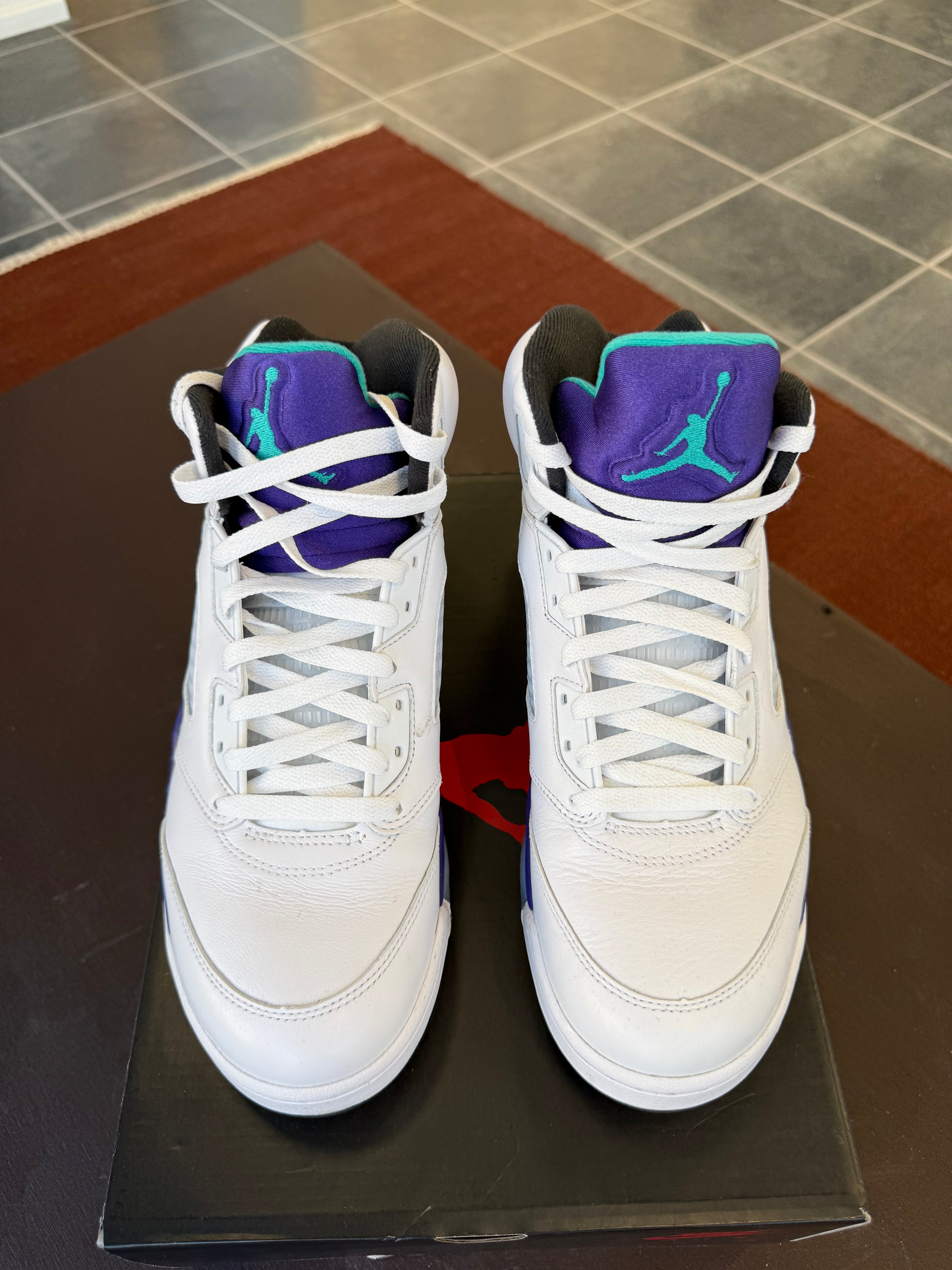 Jordan 5 Retro Grape (2025) (EU: 44)