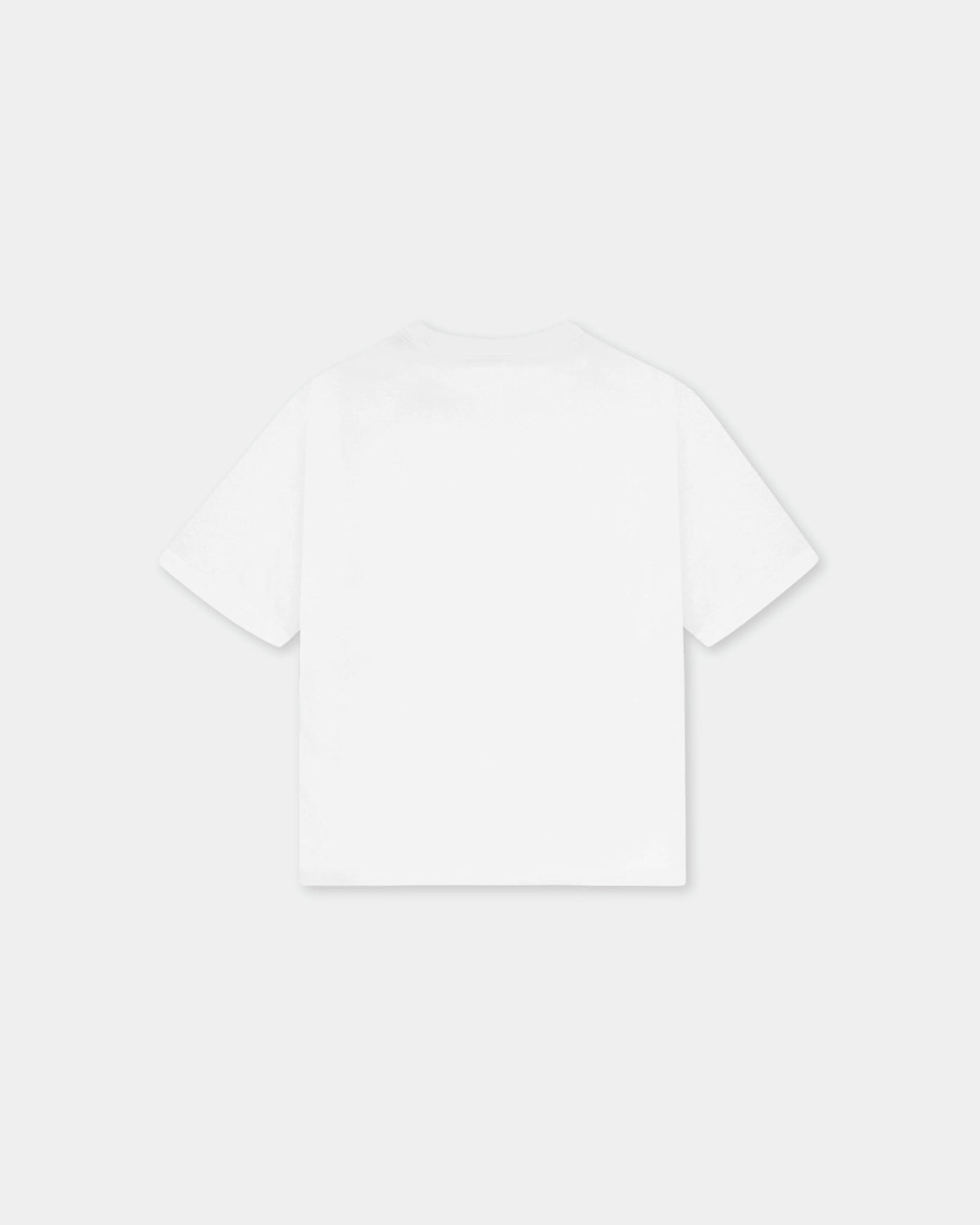 Bareen Box Fit T-shirt, Field - White